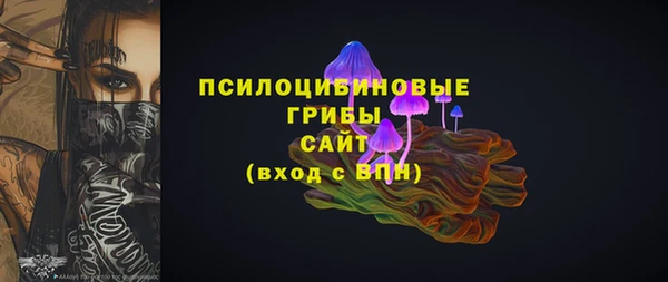 a pvp Алзамай