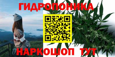 молекула духа Донской
