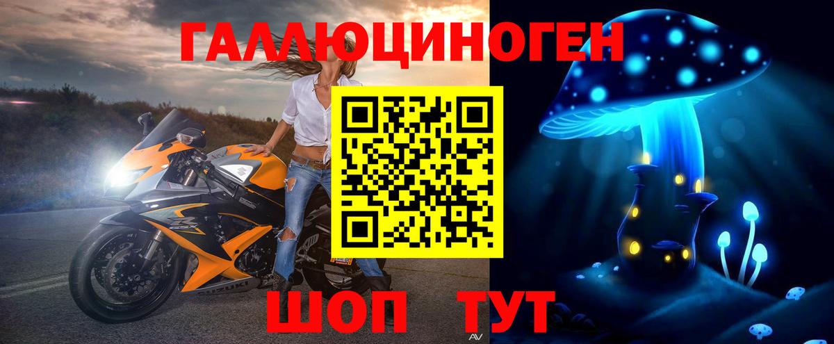 Вологда  купить наркотик  Вход с VPN  Псилоцибиновые грибы GOLDEN TEACHER  Псилоцибиновые грибы Magic Shrooms 