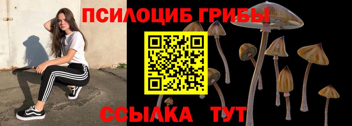 Галлюциногенные грибы MAGIC MUSHROOMS Вологда
